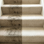 Nettoyeur de tapis portatif 750W – voiture, canapé & textiles