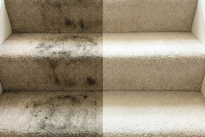 Nettoyeur de tapis portatif 750W – voiture, canapé & textiles